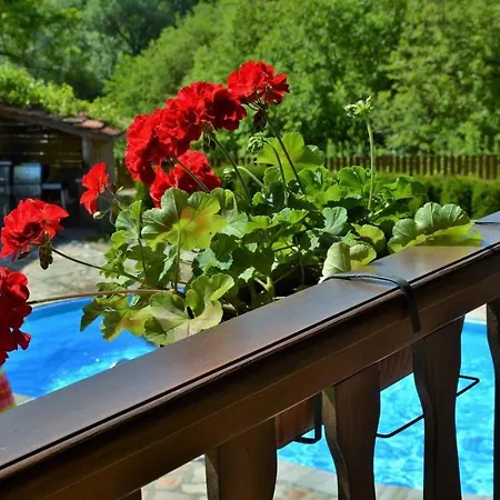 빌라 къща край реката/ House By The River