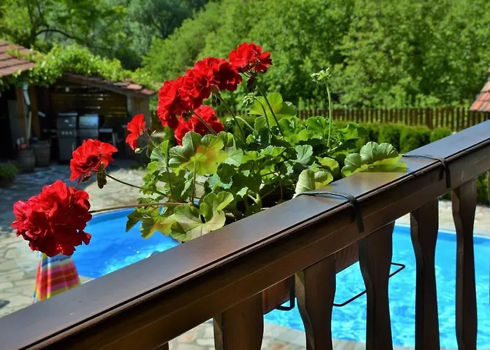 Villa къща край реката/ House By The River